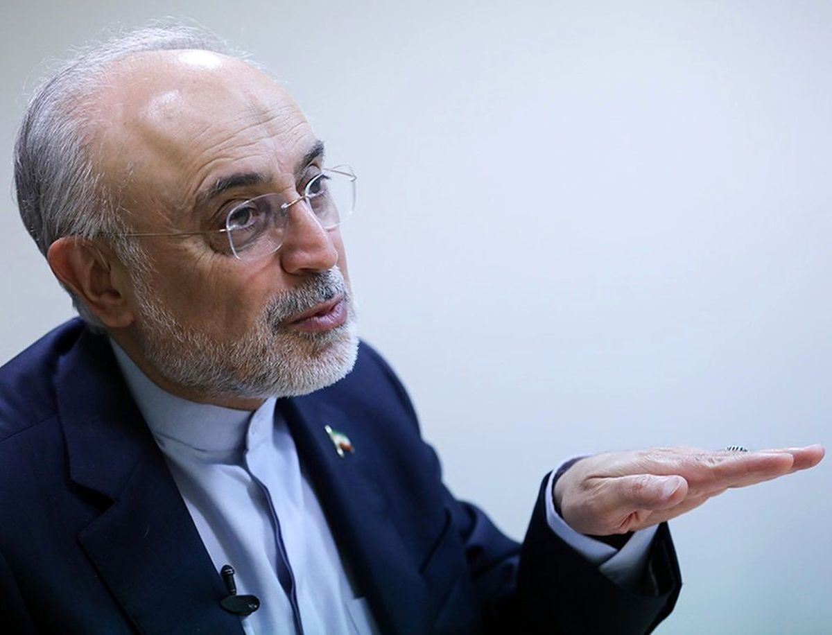 علی‌اکبر صالحی: اگر ایران بخواهد اوج بگیرد، باید تکلیف روابط بین‌الملل خود را روشن کند