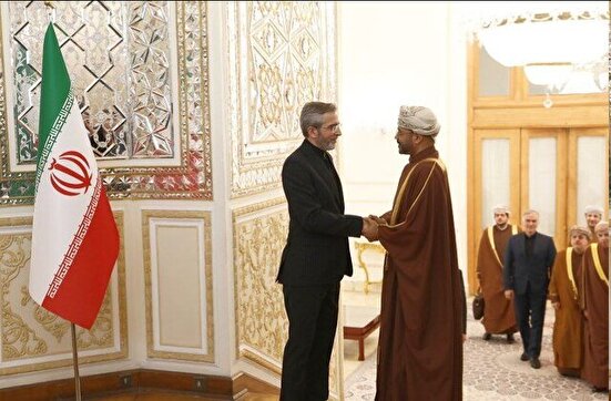 باقری کنی از وزیرخارجه عمان استقبال کرد