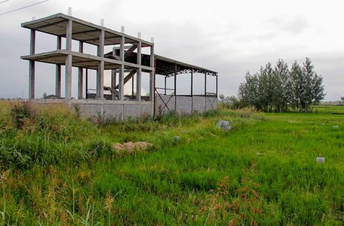 دادستان مازندران: تغییر کاربری اراضی کشاورزی شمال ممنوع است