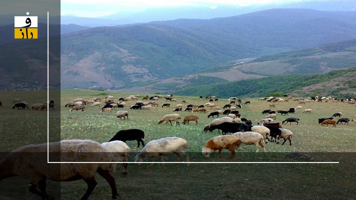 آتش چوپانان خارجی بر خرمن مراتع ایران!